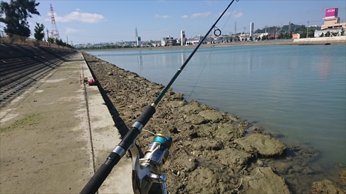 3日・残波岬から泡瀬へ釣りはしご！